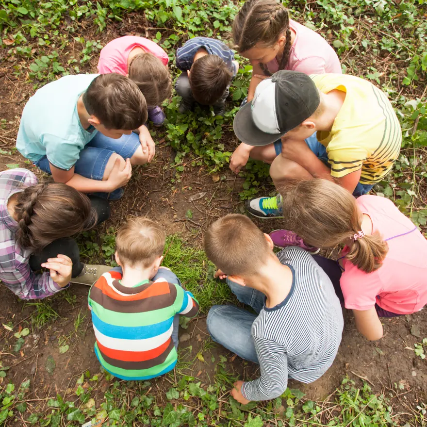 Kinder hocken im Kreis auf einer Wiese und schauen gemeinsam auf den Boden, von oben gesehen.